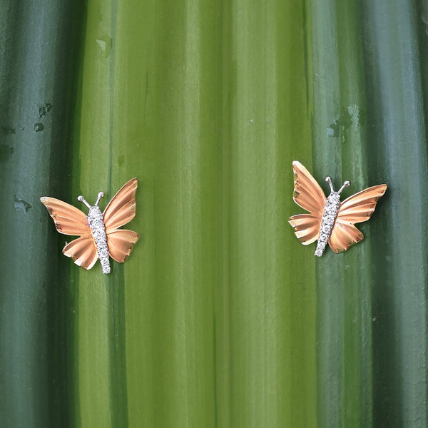 Fluted Wing Butterfly Studs